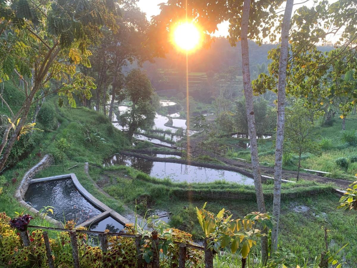 The Alam Tetebatu Bungalow & Restaurant מראה חיצוני תמונה